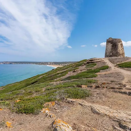 Сasa de vacaciones 1 Bedroom Beautiful In *